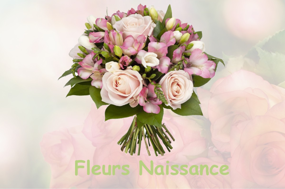 fleurs naissance VILLARD-SAINT-CHRISTOPHE